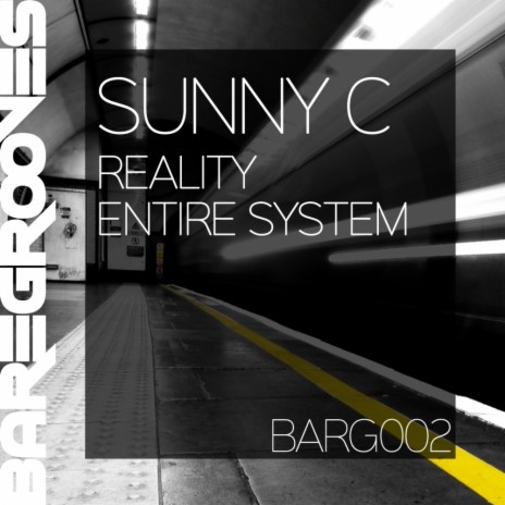 Entire System (Original Mix) | Boomplay Music