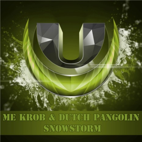 Snowstorm (Original Mix) ft. Dutch Pangolin