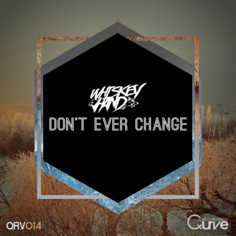 Don't Ever Change (Original Mix) | Boomplay Music