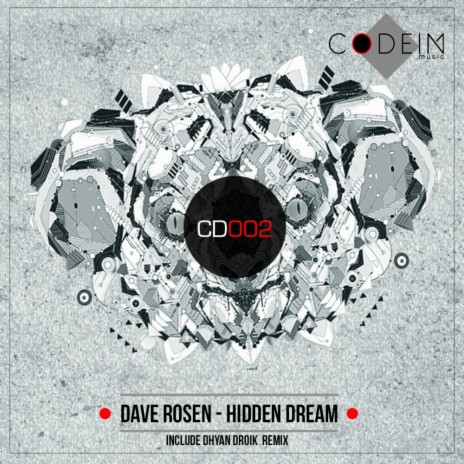 Hidden Dream (Dhyan Droik Remix)