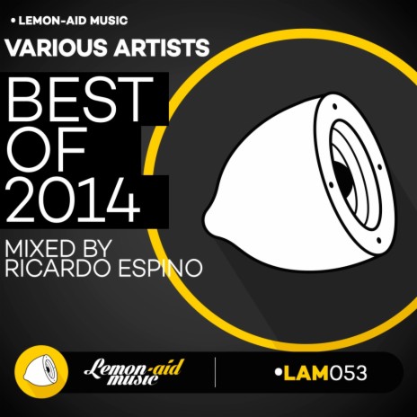 Best of 2014 (Continuous Mix)