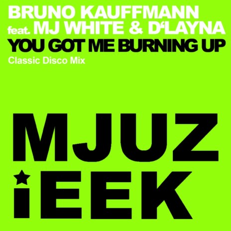 You Got Me Burning Up (Classic Disco Mix) ft. MJ White & D'Layna