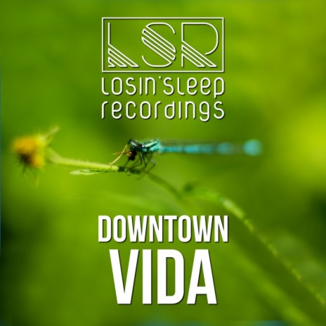 Vida (Re-Edit) | Boomplay Music