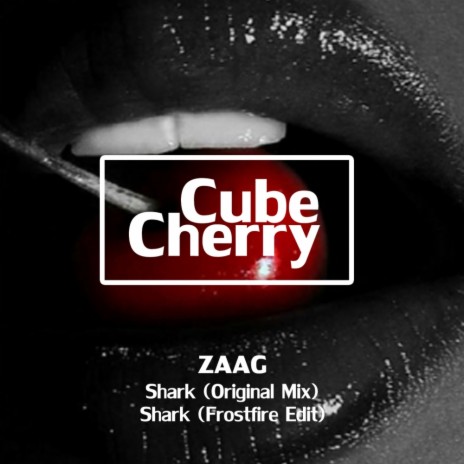 Shark (Original Mix) | Boomplay Music