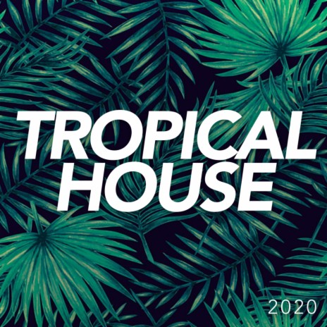 Tropicana (Original Mix) | Boomplay Music