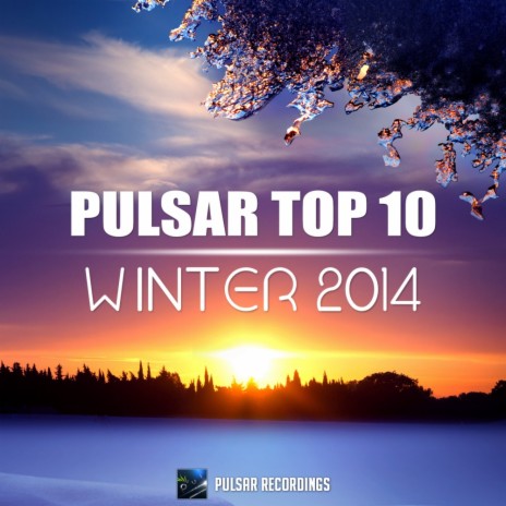 Pulsar Top 10 - Winter 2014 (Continuous DJ Mix)