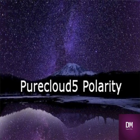 Polarity (Original Mix)