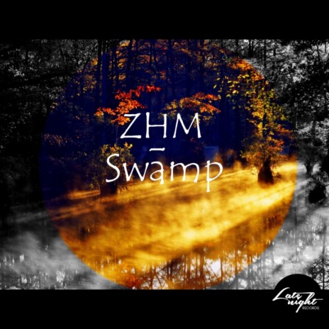 Swamp (Original Mix) | Boomplay Music