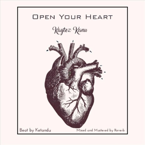 Open Your Heart | Boomplay Music