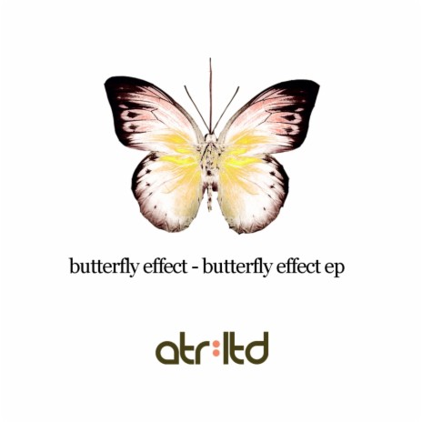Butterfly Effect (Original Mix) | Boomplay Music