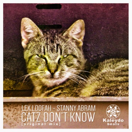 Catz Don't Know (Original Mix) ft. Stanny Abram