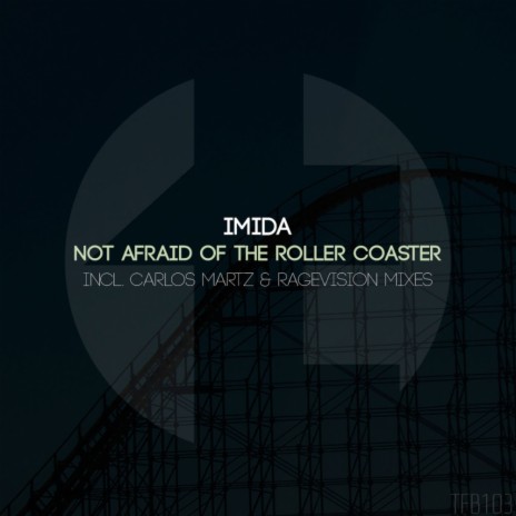 Not Afraid of The Roller Coaster (RageVision Remix) | Boomplay Music