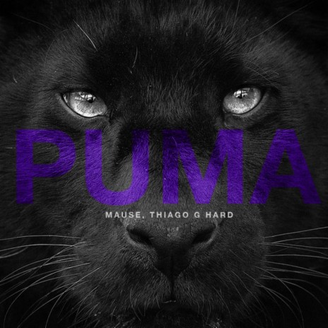 PUMA (Original Mix) ft. Thiago G Hard | Boomplay Music