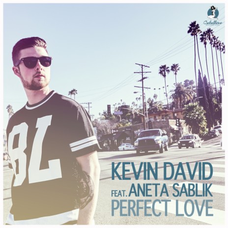 Perfect Love (Alternative Radio Mix) ft. Aneta Sablik | Boomplay Music