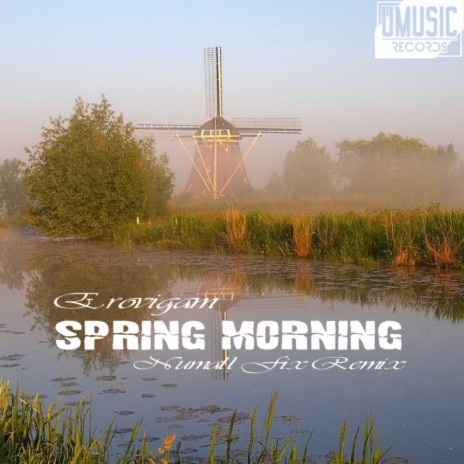 Spring Morning (Numall Fix Remix) | Boomplay Music