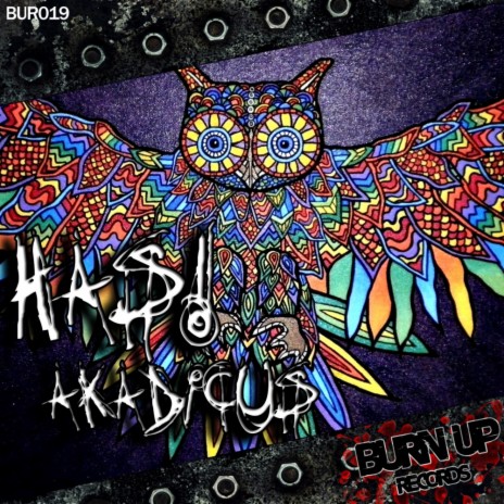 Akadicus (Funsky Remix)