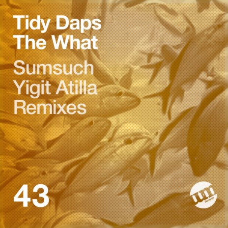 The What (Yigit Atilla Remix)