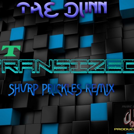 Transized (ShvrpPrickles Remix) | Boomplay Music