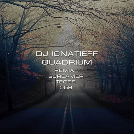 Quadrium (Teoss Remix)