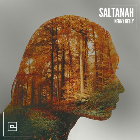 Saltanah (Original Mix) | Boomplay Music