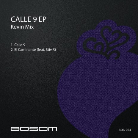 Calle 9 (Original Mix)