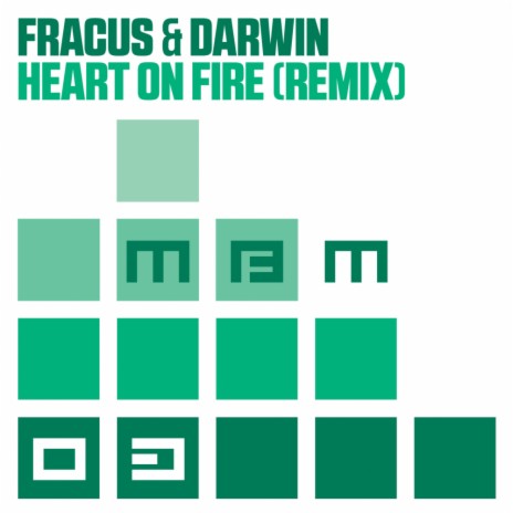Heart On Fire (Remix) (Radio Edit)