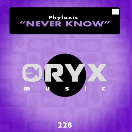 Never Know (Original Mix)