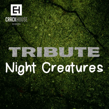 Everyday (Original Mix) ft. Night Creatures