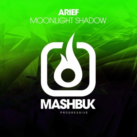 Moonlight Shadow (Original Mix)