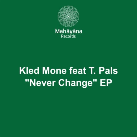 Never Change (Original Mix) ft. T. Pals | Boomplay Music