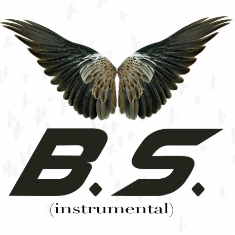 B.S. (Instrumental)