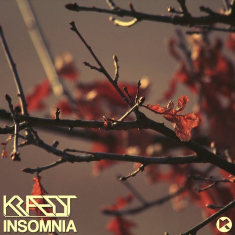 Insomnia (Original Mix) | Boomplay Music