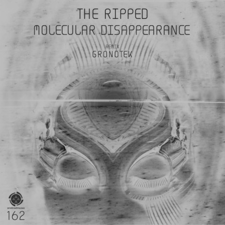 Molecular Disappearance (Original Mix) | Boomplay Music