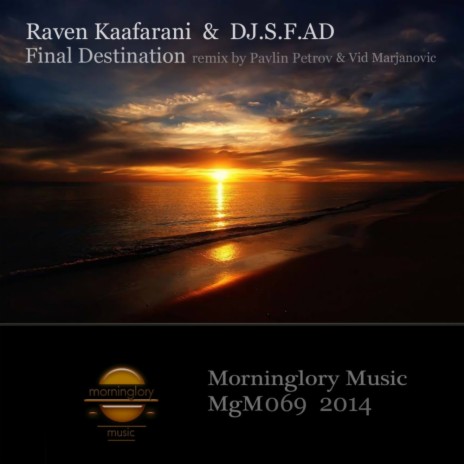 Final Destination (Vid Marjanovic Morning Dub Remix) ft. DJ S.F.AD | Boomplay Music