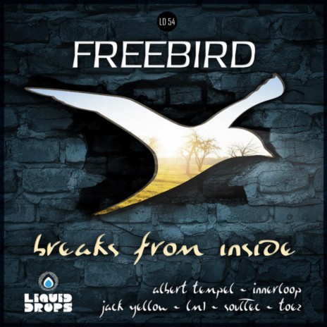 In The Vineyard (Original Mix) ft. FreeBird & P.F.ALI
