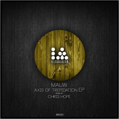 Axis Of Trepidation (Original Mix) | Boomplay Music