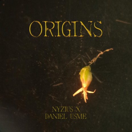 Origins ft. Daniel Usme | Boomplay Music