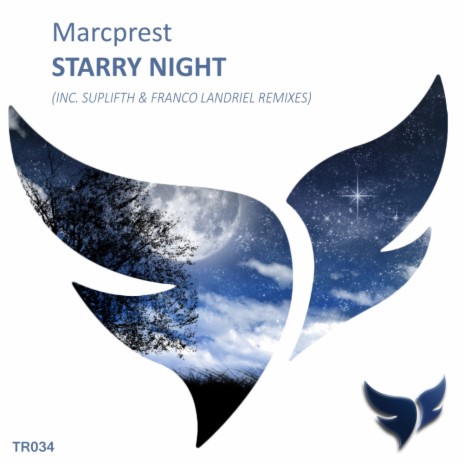 Starry Night (Original Mix) | Boomplay Music