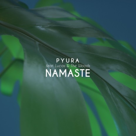 Namaste ft. Lucas & The Woods | Boomplay Music