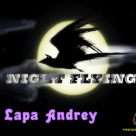 Night Flying (Original Mix)