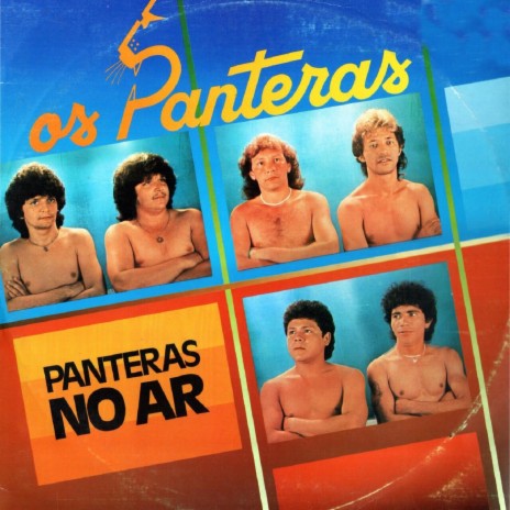 Panteras no Ar | Boomplay Music