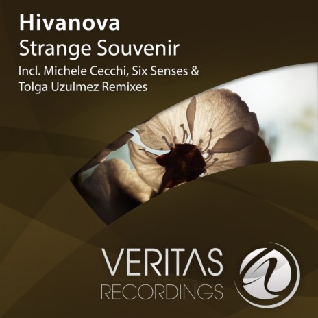 Strange Souvenir (Six Senses Remix)