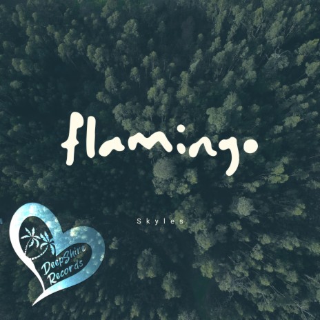 Flamingo | Boomplay Music