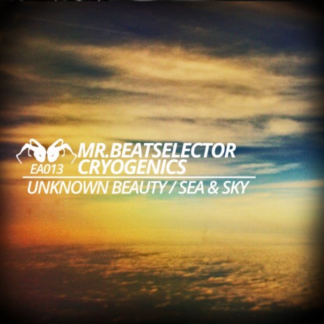 Unknown Beauty (Original Mix) | Boomplay Music