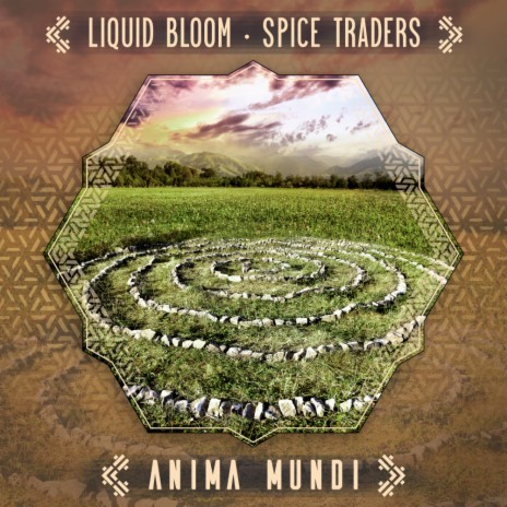 Anima Mundi (Drumspyder Remix) ft. Spice Traders