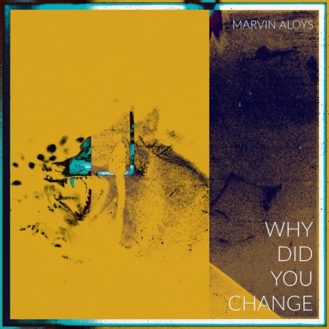 WHY DID YOU CHANGE | Boomplay Music