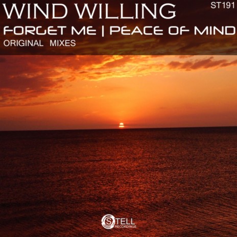 Peace of Mind (Original Mix) | Boomplay Music