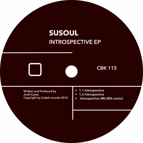 1.1 Introspective (Original Mix)