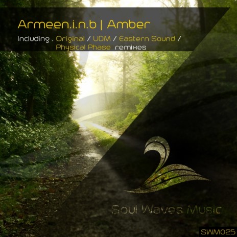 Amber (Physical Phase Remix) | Boomplay Music