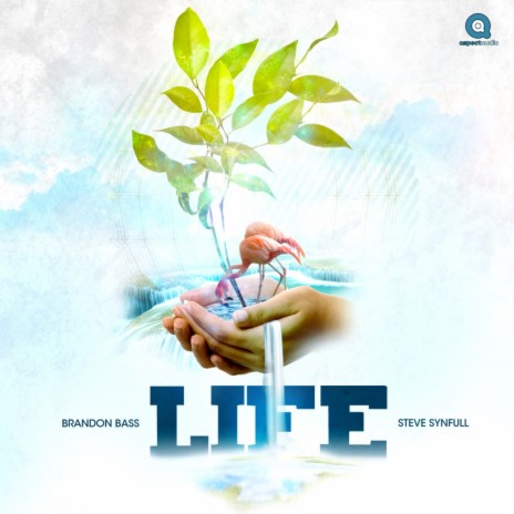 Life (Steve Synfull Remix) ft. Steve Synfull | Boomplay Music
